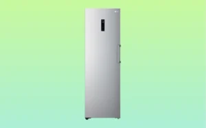 Silver freezer displayed against a vibrant green background.