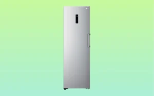 LG Freezer Silver LG freezer displayed against a vibrant green background.