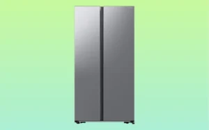 Silver two-door refrigerator displayed against a green background.